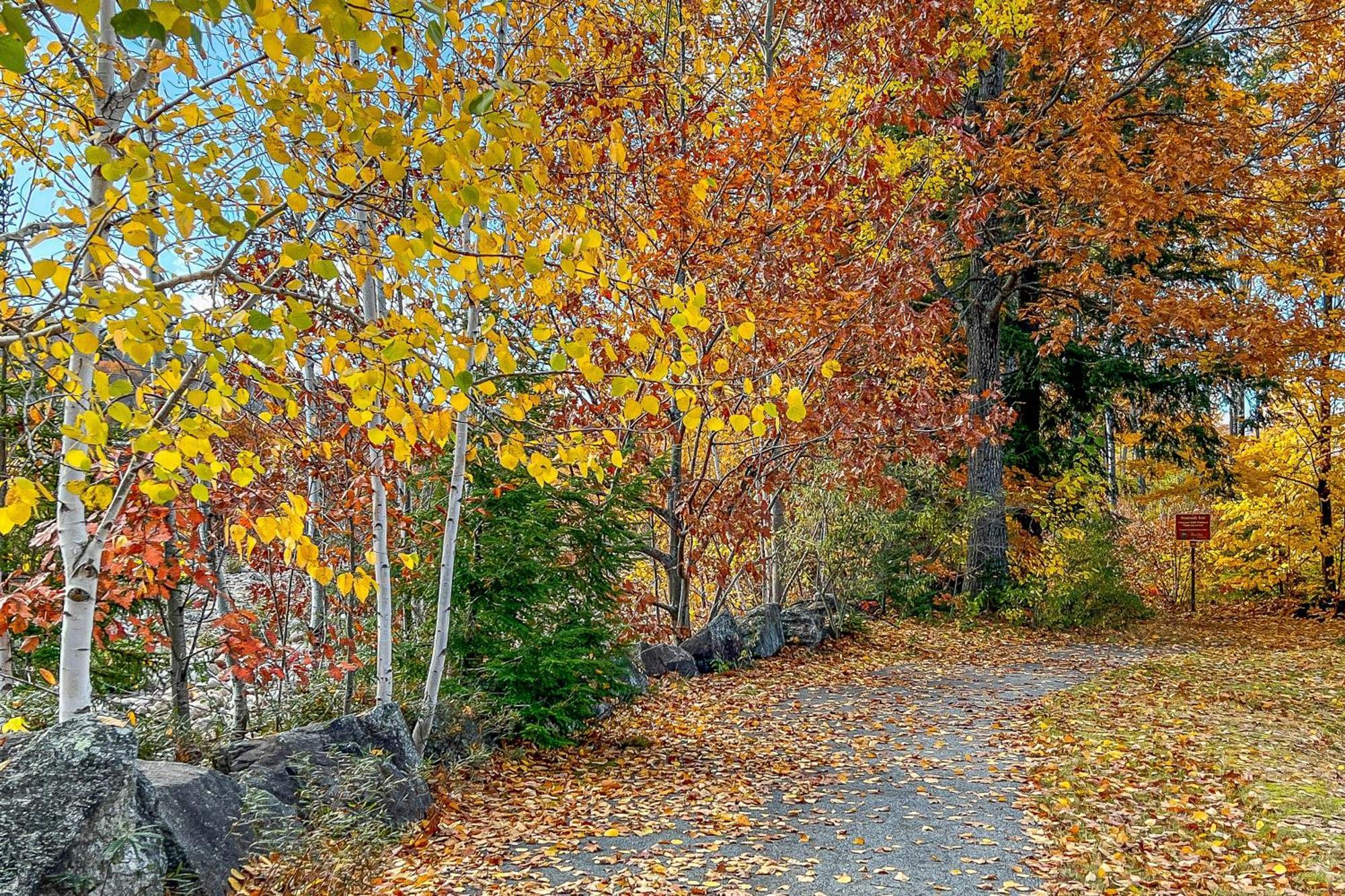 Autumn Colors Condo, Unit 215 링컨 외부 사진